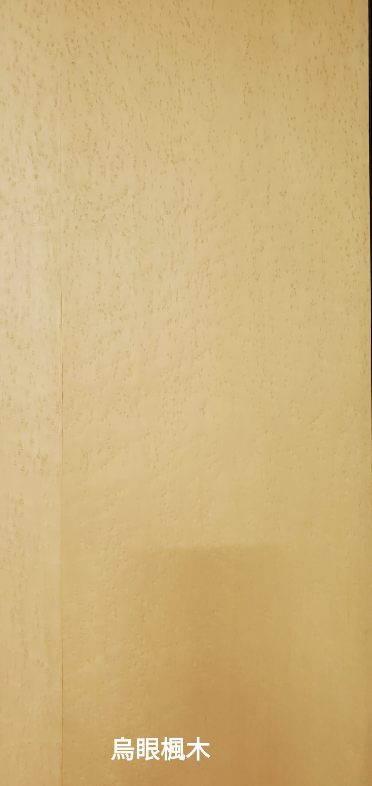 鳥眼楓木